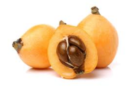 Picture of Loquat