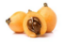 Picture of Loquat