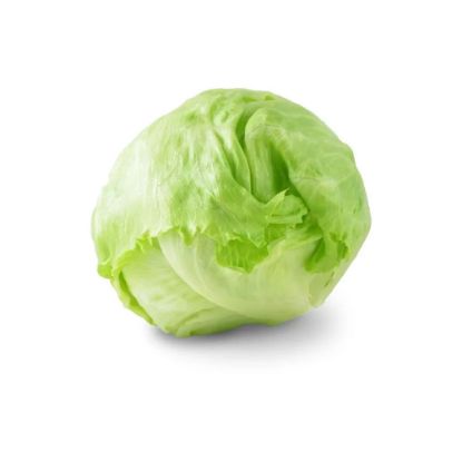 Picture of Lettuce (Iceberg)