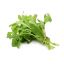 Picture of Arugula (Rocket)
