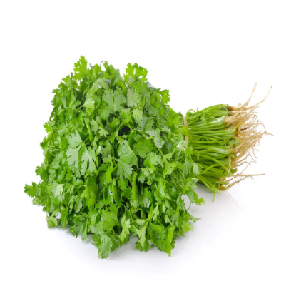 Picture of Coriander (Cilantro)