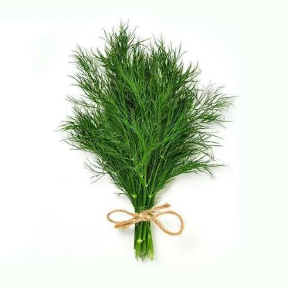 Picture of Dill