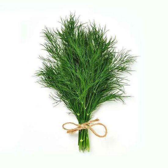 Picture of Dill
