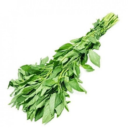 Picture of Molokhia leaves