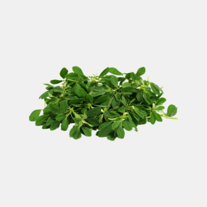 Picture of Fenugreek leaves