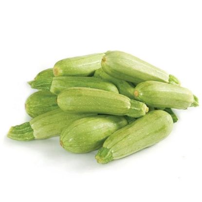 Picture of Zucchini