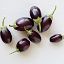 Picture of Eggplant (Baby)
