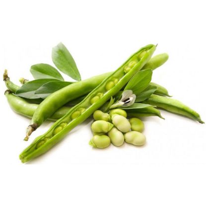 Picture of Fava Beans (Fresh)