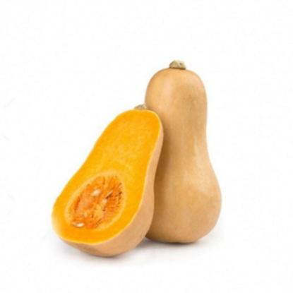 Picture of Pumpkin