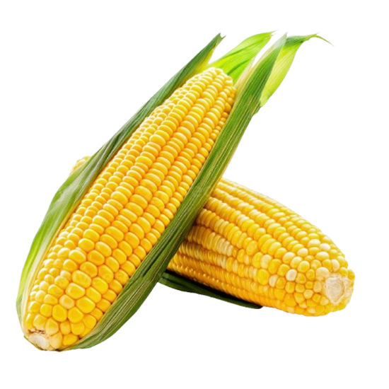 Picture of Sweet corn
