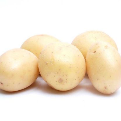 Picture of Potato (White)