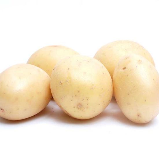 Picture of Potato (White)