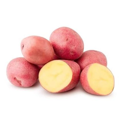 Picture of Potato (Red)