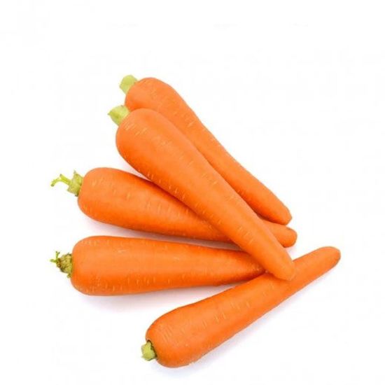 Picture of Carrot