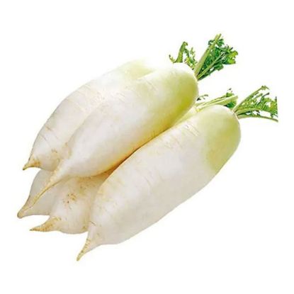 Picture of Radish (White)