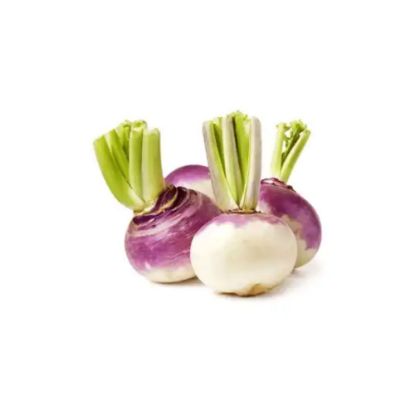 Picture of Turnip