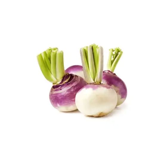 Picture of Turnip