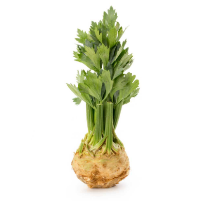 Picture of Celery root (Celeriac)