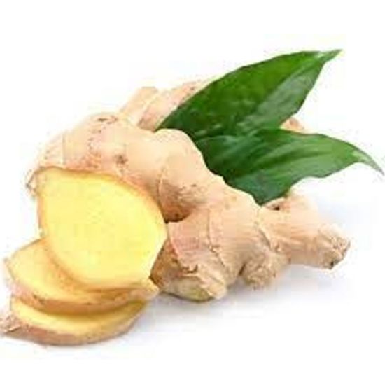 Picture of Ginger