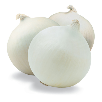 Picture of Onion (White)