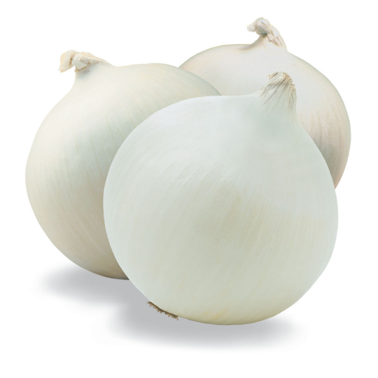 Picture of Onion (White)