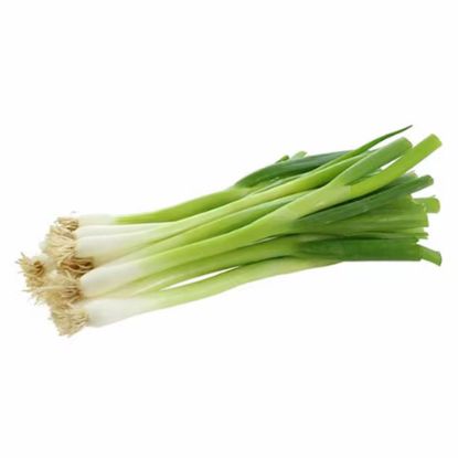 Picture of Spring Onion / Green Onion