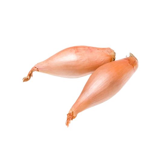 Picture of Shallot