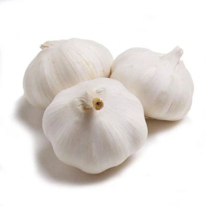 Picture of Garlic