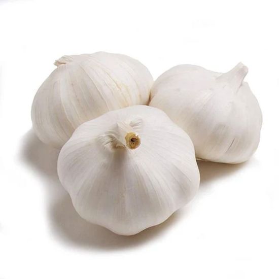Picture of Garlic