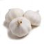 Picture of Garlic