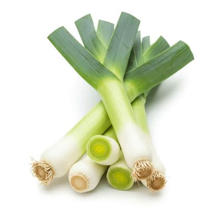 Picture of Leek