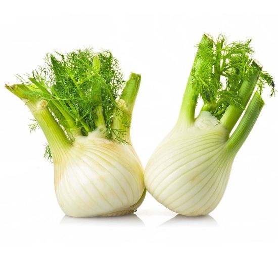 Picture of Fennel