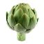 Picture of Artichoke