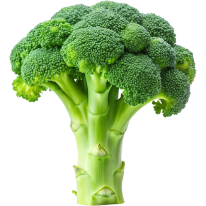 Picture of Broccoli