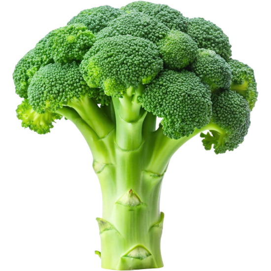Picture of Broccoli