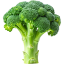 Picture of Broccoli