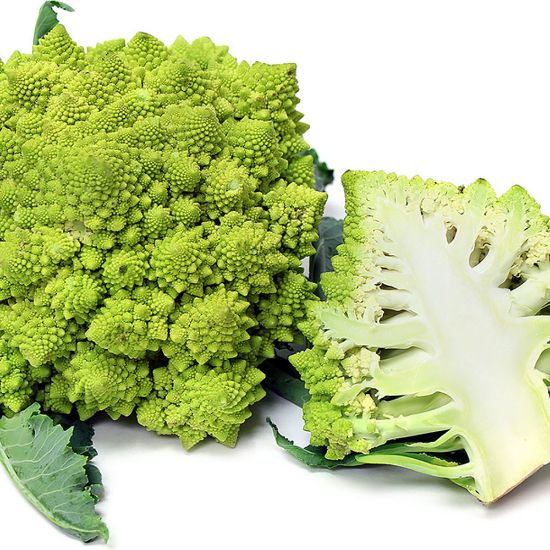 Picture of Romanesco