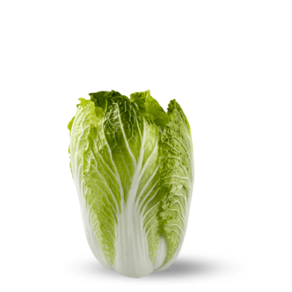 Picture of Chinese cabbage