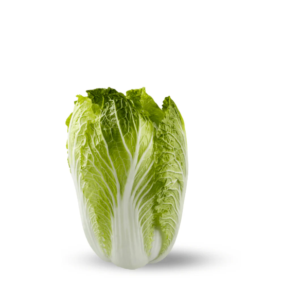 Picture of Chinese cabbage