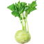 Picture of Kohlrabi