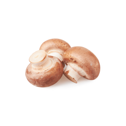 Picture of Brown Mushroom