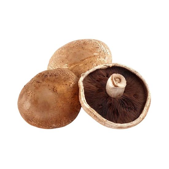 Picture of Portobello Mushroom