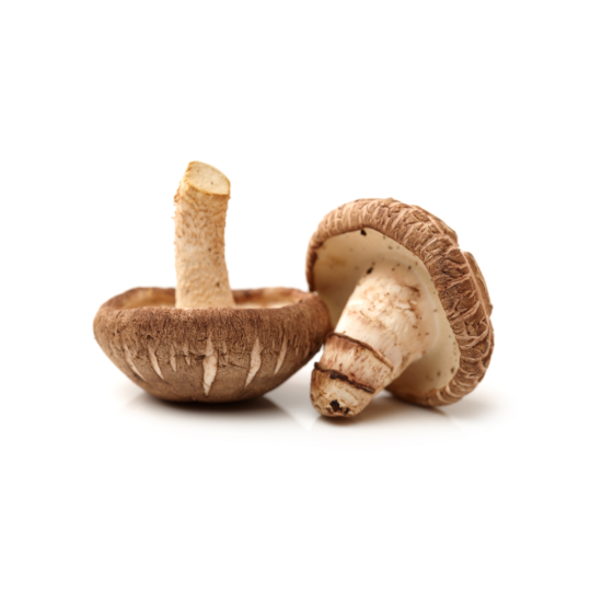 Picture of Shiitake Mushroom