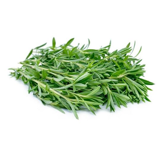 Picture of Thyme (fresh)