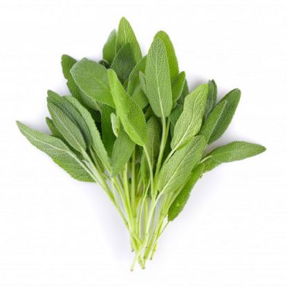 Picture of Sage