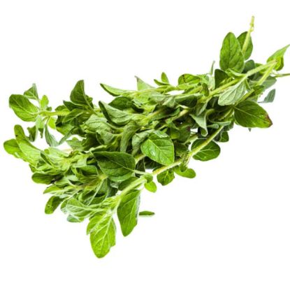 Picture of Oregano (fresh)