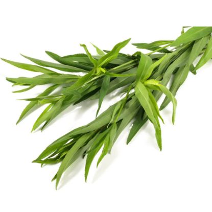 Picture of Tarragon