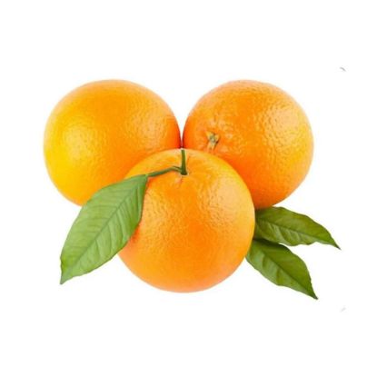 Picture of Orange (Navel)