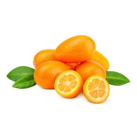 Picture of Kumquat