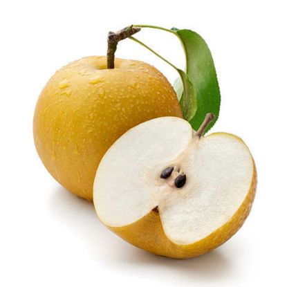 Picture of Asian Pear